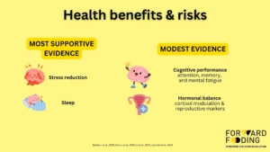 health benefits and risks of ashwagandha