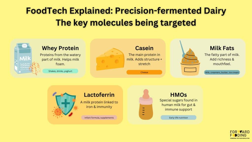 FoodTech Explained Precision Fermentation