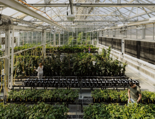 48 Companies Shaping the Future of Farming through Ag Biotech
