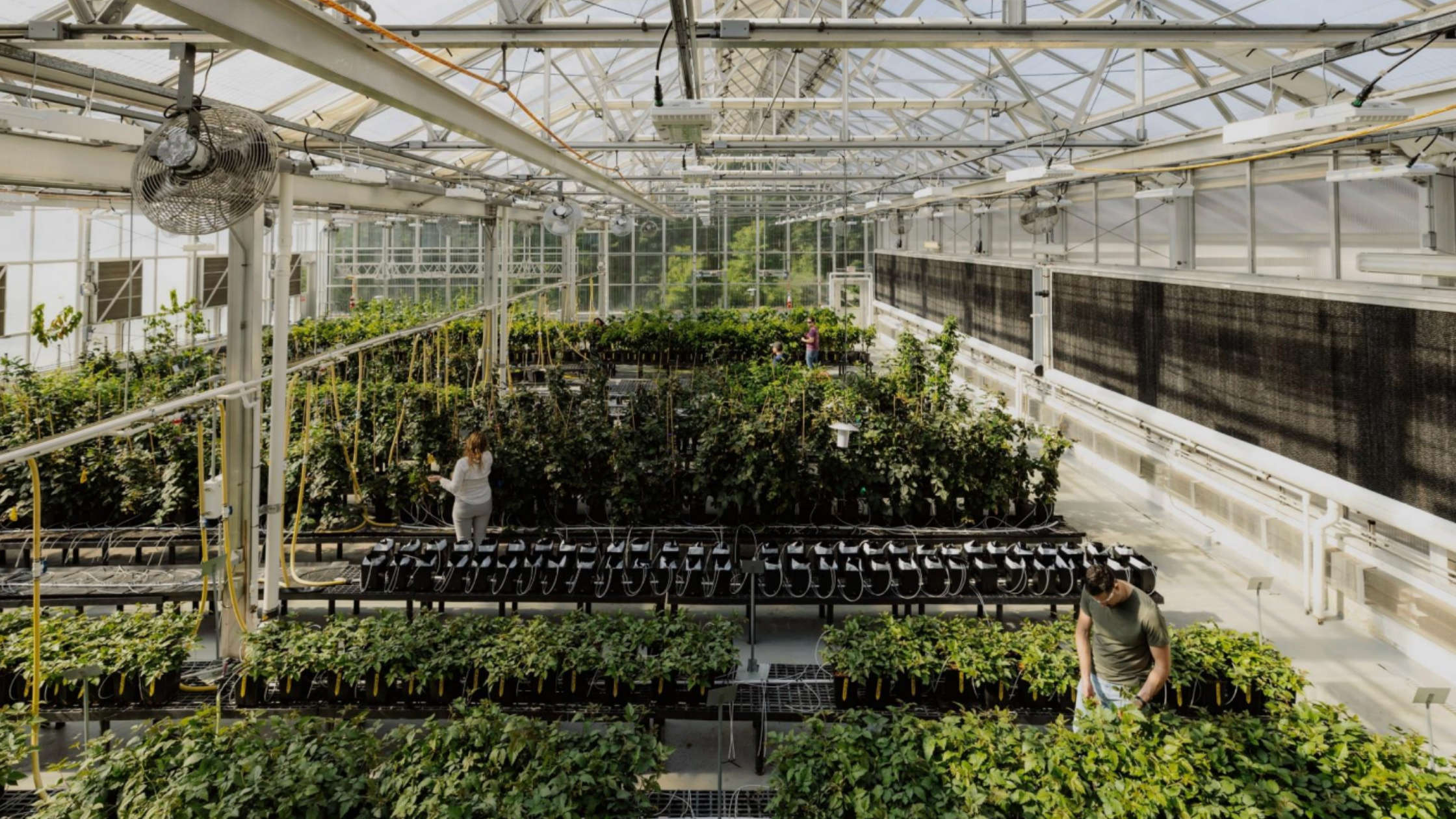 48 Companies Shaping the Future of Farming through Ag Biotech