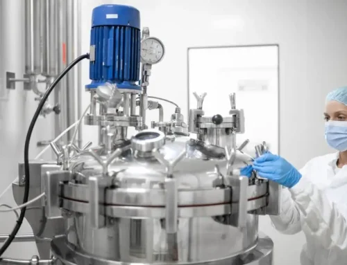 Microbes at Work: 32 FoodTech Companies Fermenting the Future of Protein