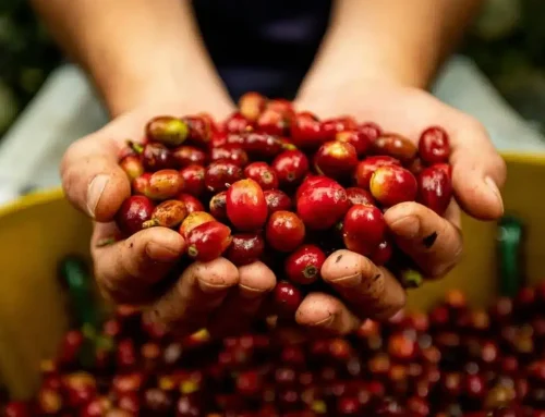 LATAM AgriFoodTech: The FoodTech 500 Startups Driving Latin America’s Food Innovation
