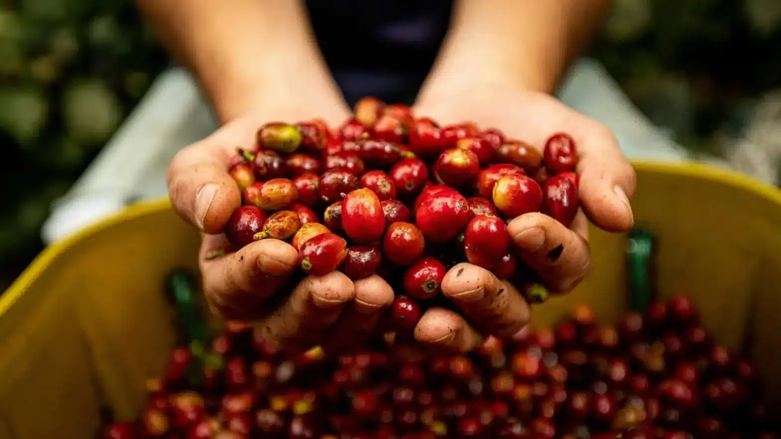 LATAM AgriFoodTech: The FoodTech 500 Startups Driving Latin America’s Food Innovation
